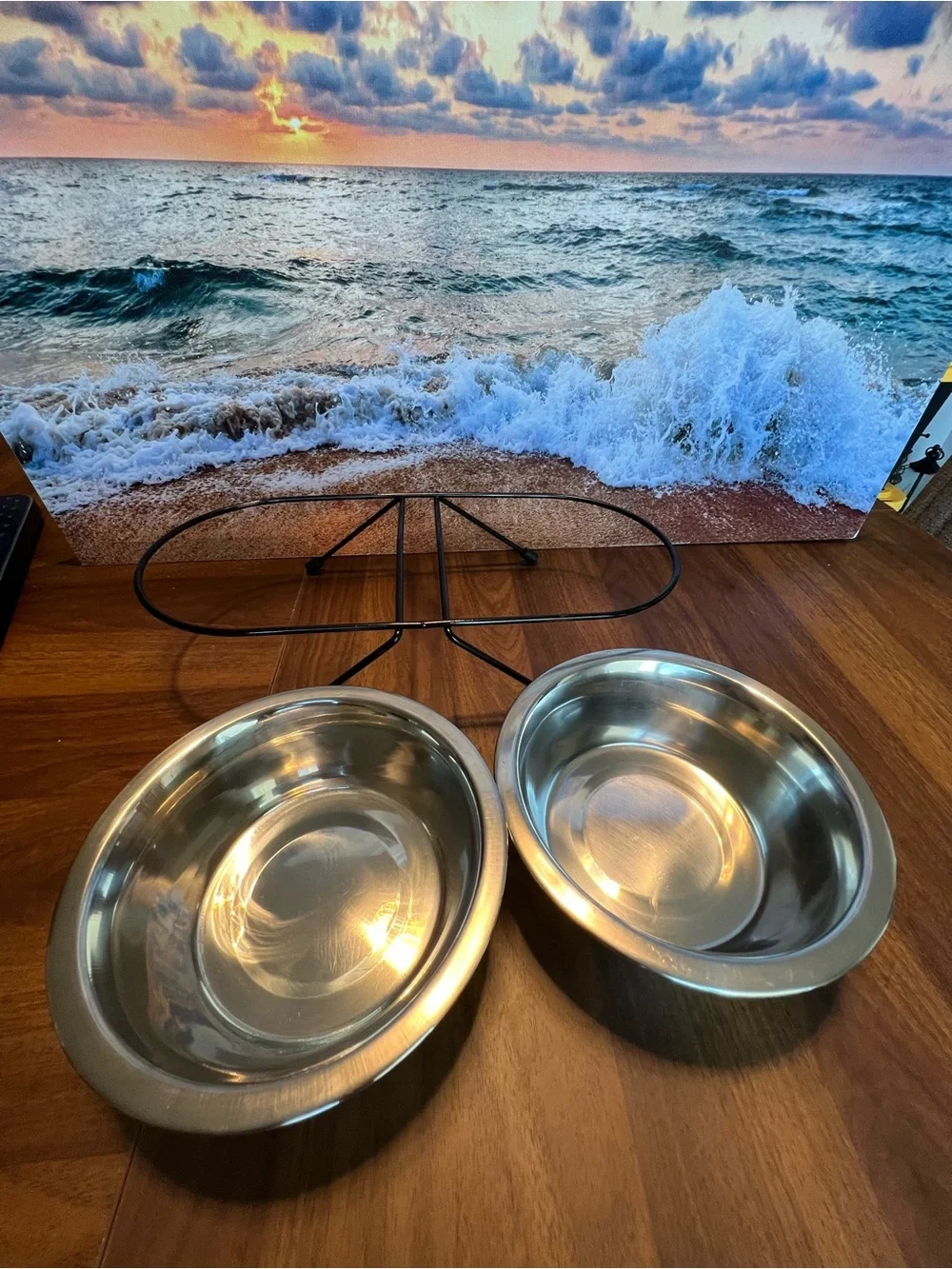 Double Stainless Steel Pet Bowl Set with Black Elevated Stand